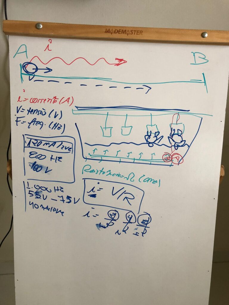 treinamento Natto PE 03