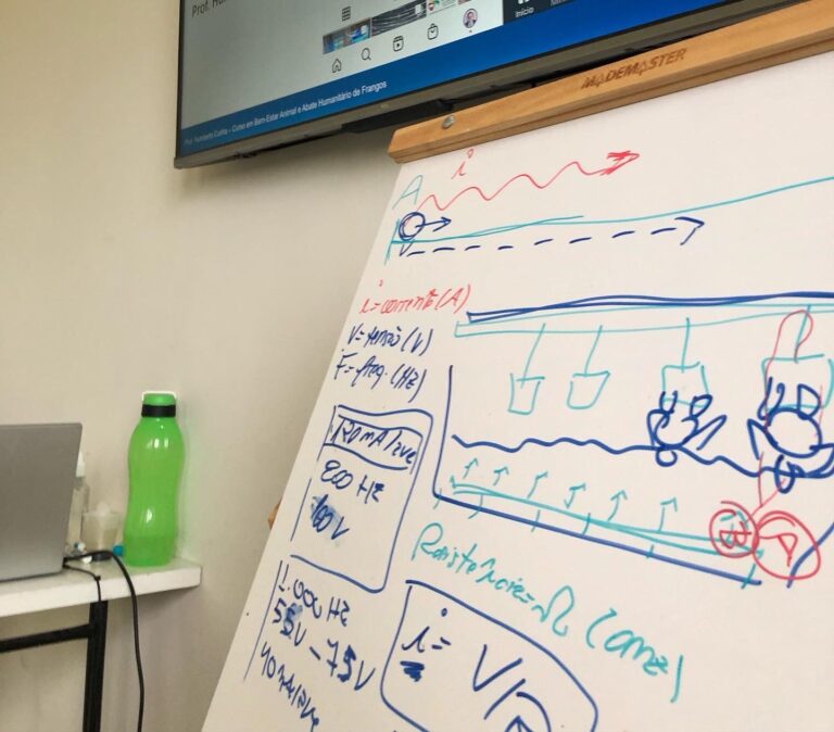 treinamento Natto PE 04