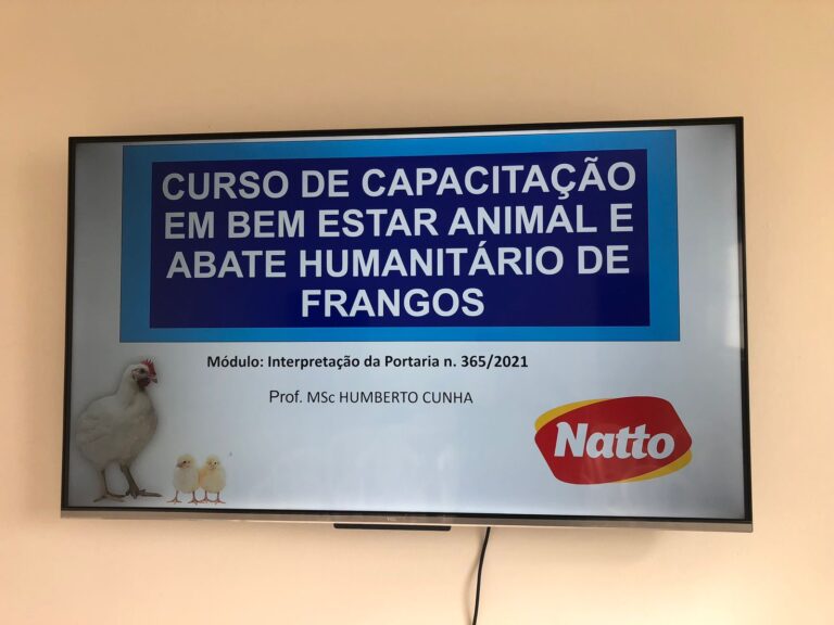 treinamento Natto PE 05