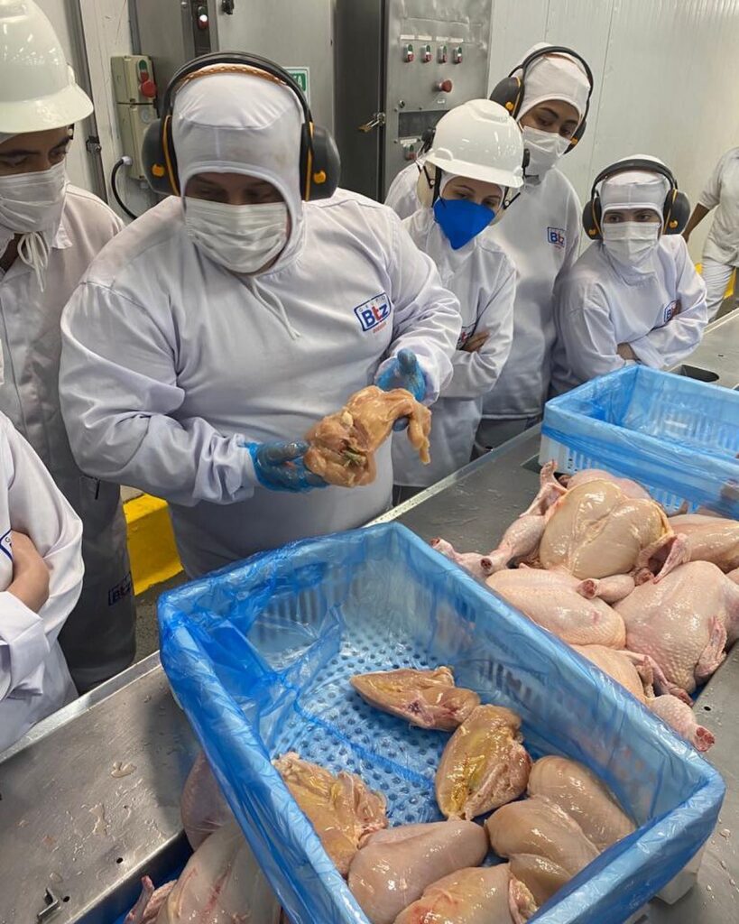 treinamento grupo btz PR 01