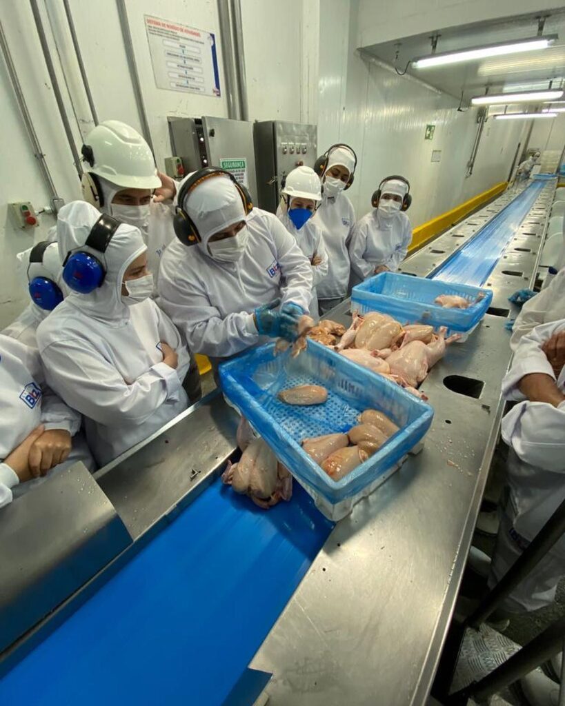 treinamento grupo btz PR 02