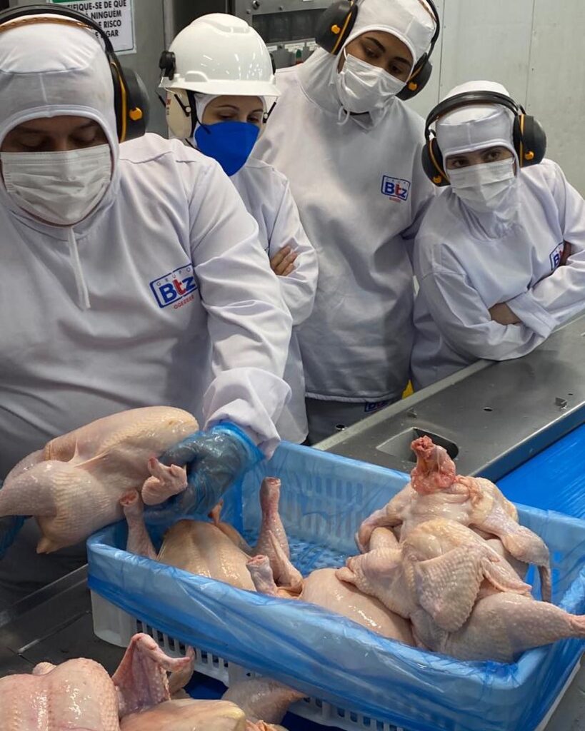 treinamento grupo btz PR 03