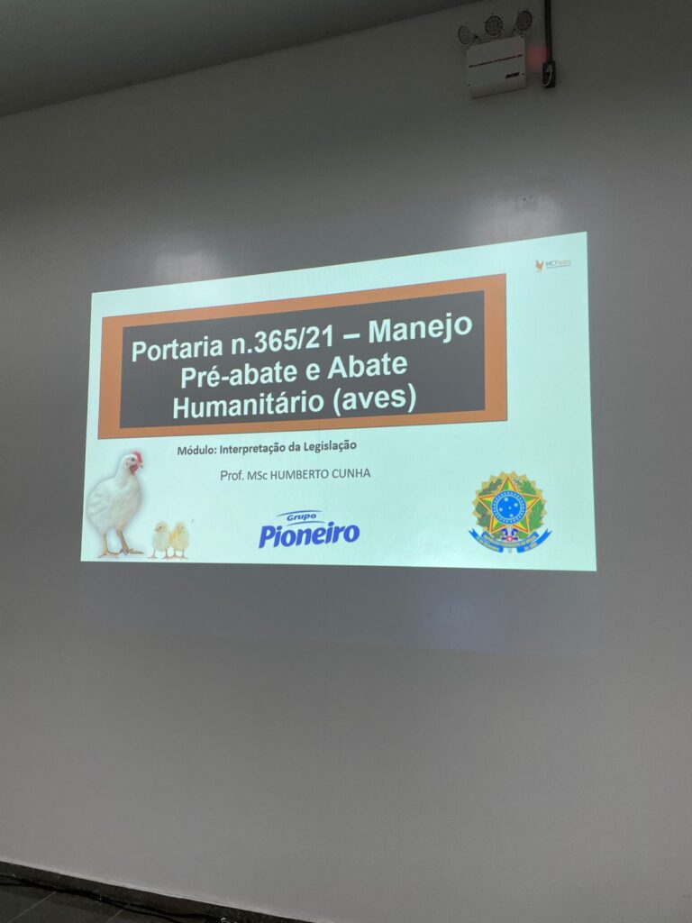PIONEIROS - Curso BEA 03
