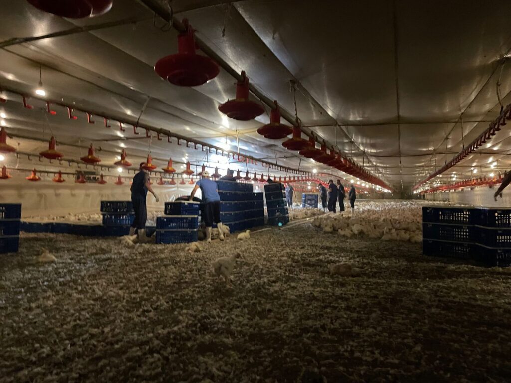 PIONEIROS - Curso BEA 05