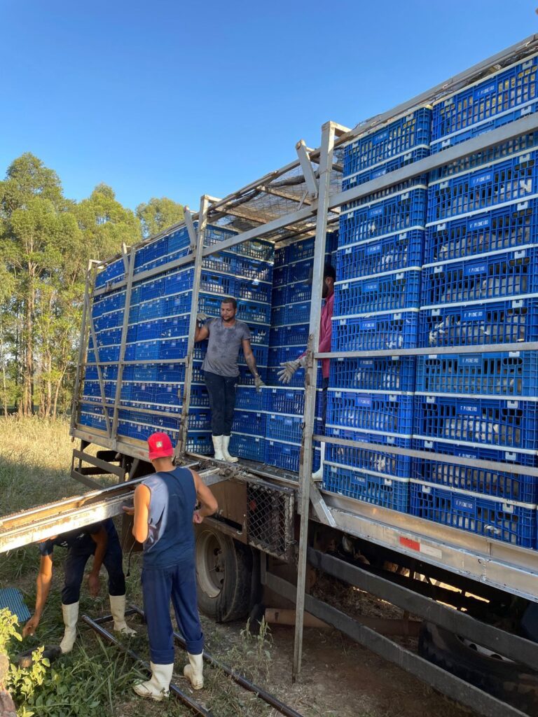 PIONEIROS - Curso BEA 06