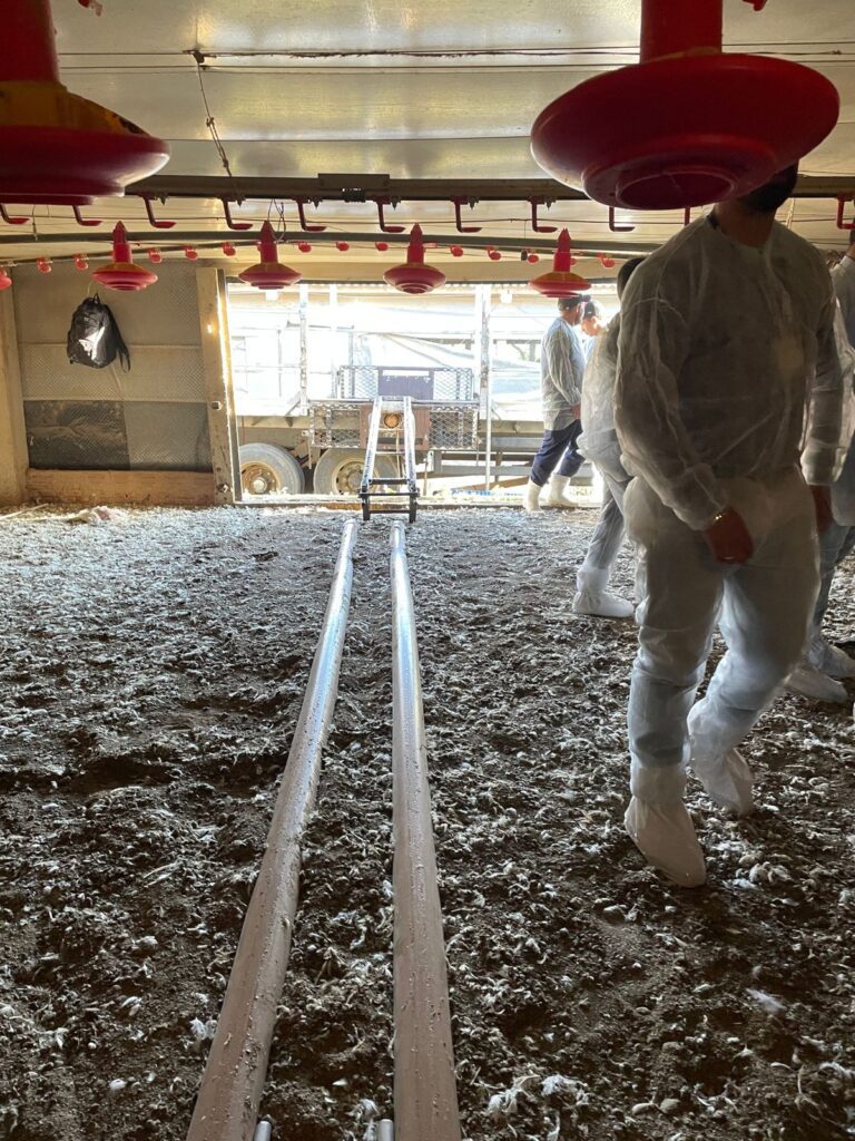 PIONEIROS - Curso BEA 07