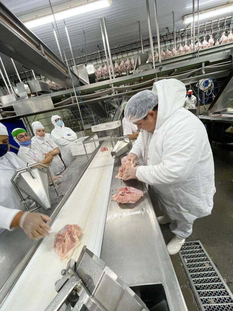 ROSAVES - Curso BEA 05