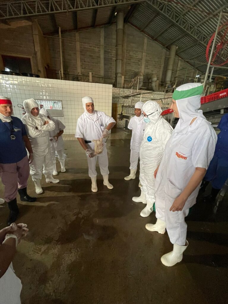 ROSAVES - Curso BEA 06