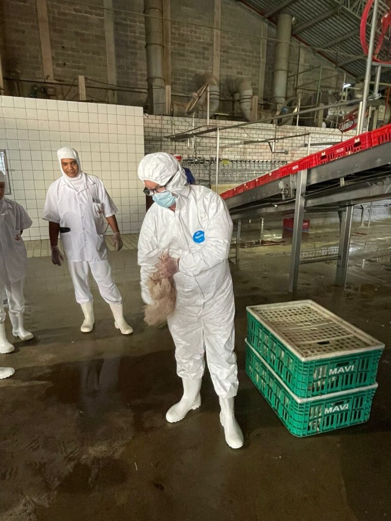 ROSAVES - Curso BEA 07