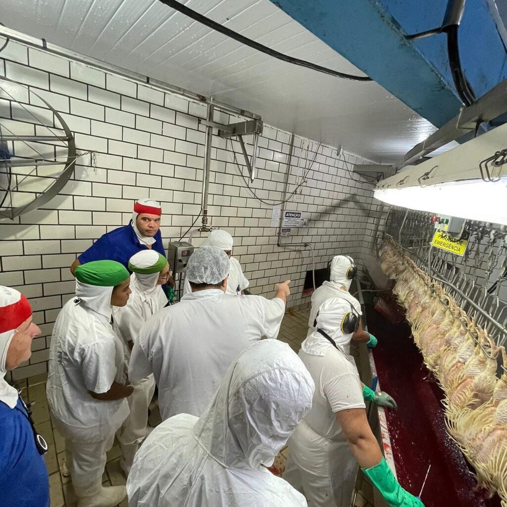 ROSAVES - Curso BEA 09